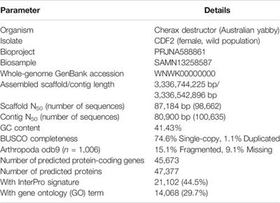 The NGS Magic Pudding: A Nanopore-Led Long-Read Genome Assembly for the Commercial Australian Freshwater Crayfish, Cherax destructor